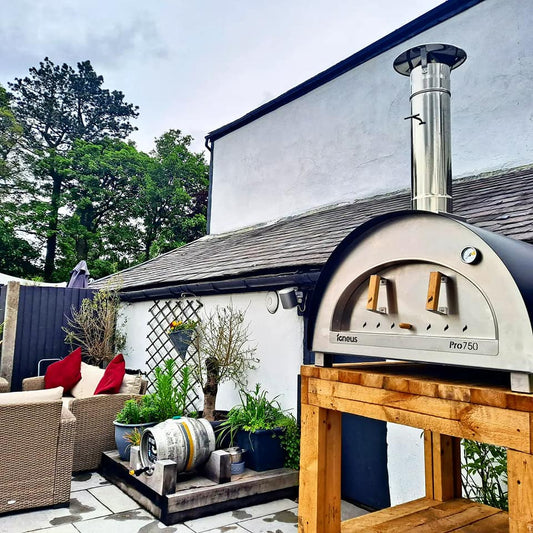 igneus pro 750 wood fired pizza oven product exterior view