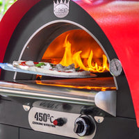 clementi original pulcinella wood gas fired pizza oven product exterior view