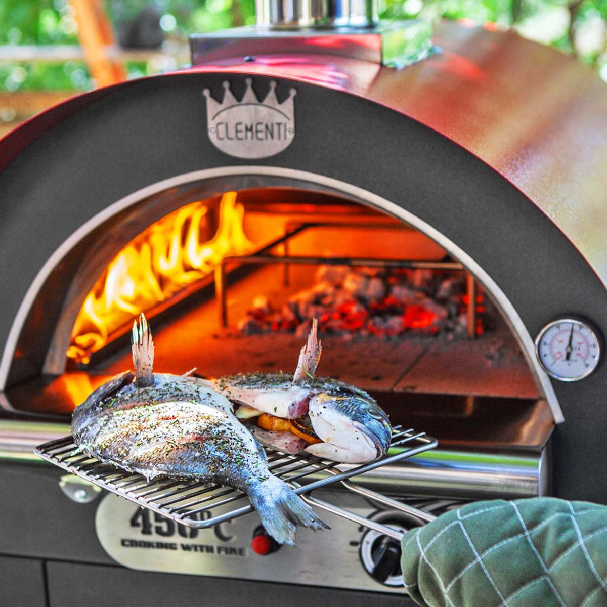 clementi original pulcinella wood gas fired pizza oven product exterior view — view 2
