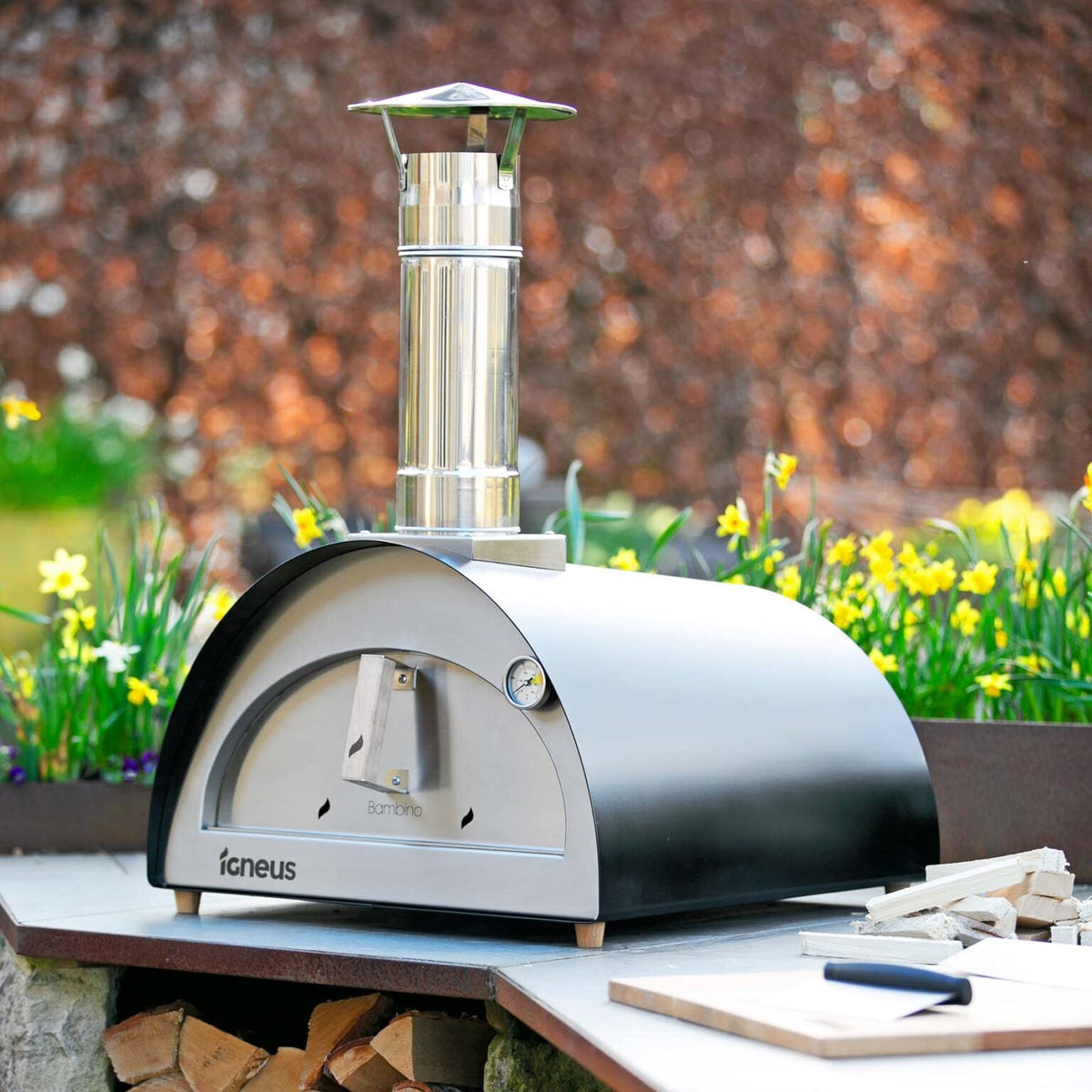 igneus bambino wood fired pizza oven product exterior view — view 2