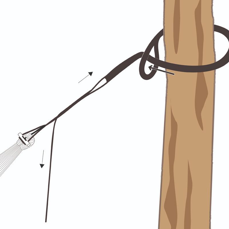 Adventure Ropes — styled in a garden setting