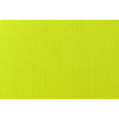 Florida Kiwi Hammock — from above