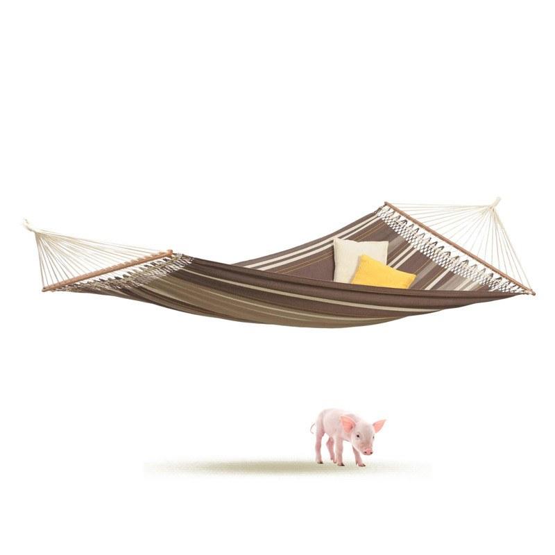 Palacio Cafe Hammock cutaway render